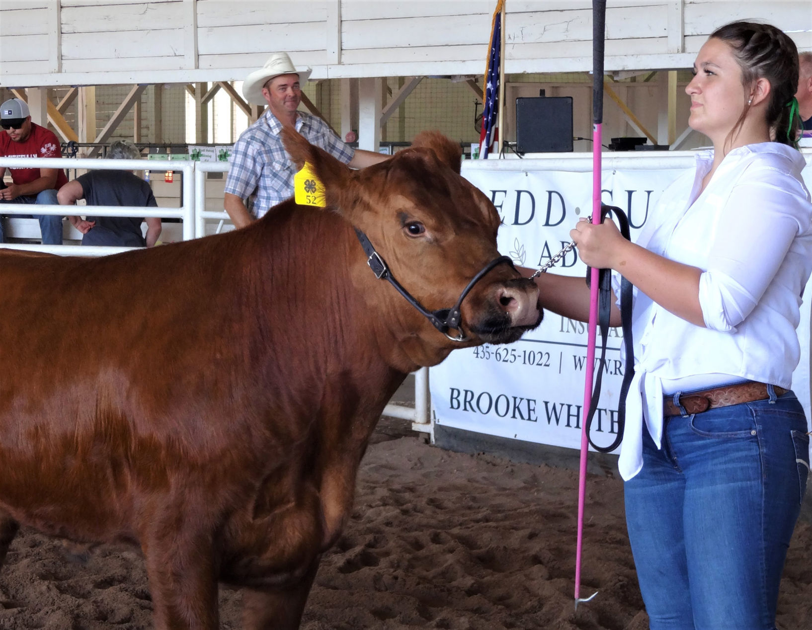 Steer competition